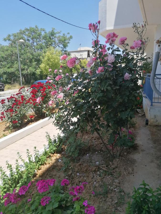 Ferienwohnung Elva Creta Iraklio Exterior foto
